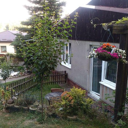 Appartamento Na Polesi Žlutice Esterno foto