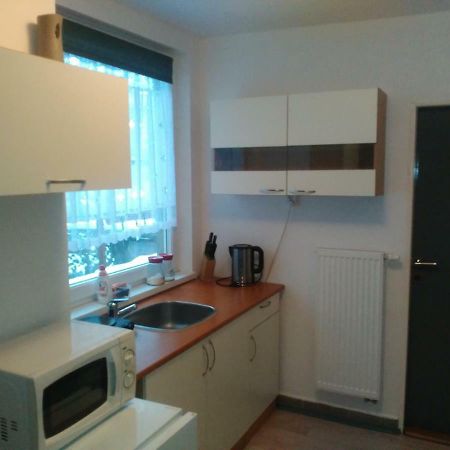 Appartamento Na Polesi Žlutice Esterno foto